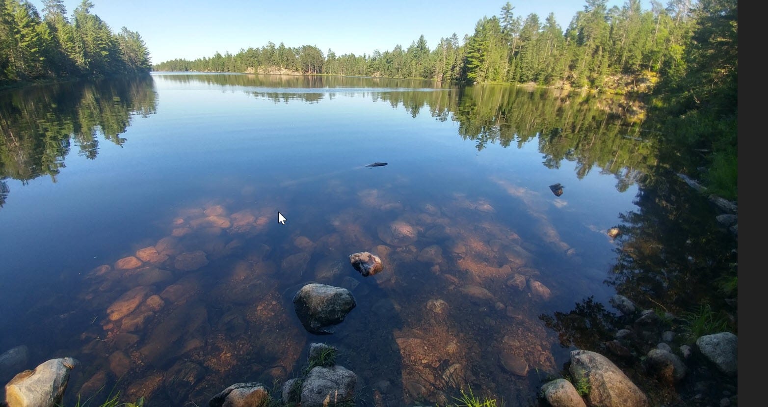 boundary waters canoe area outfitting in ely, mn book