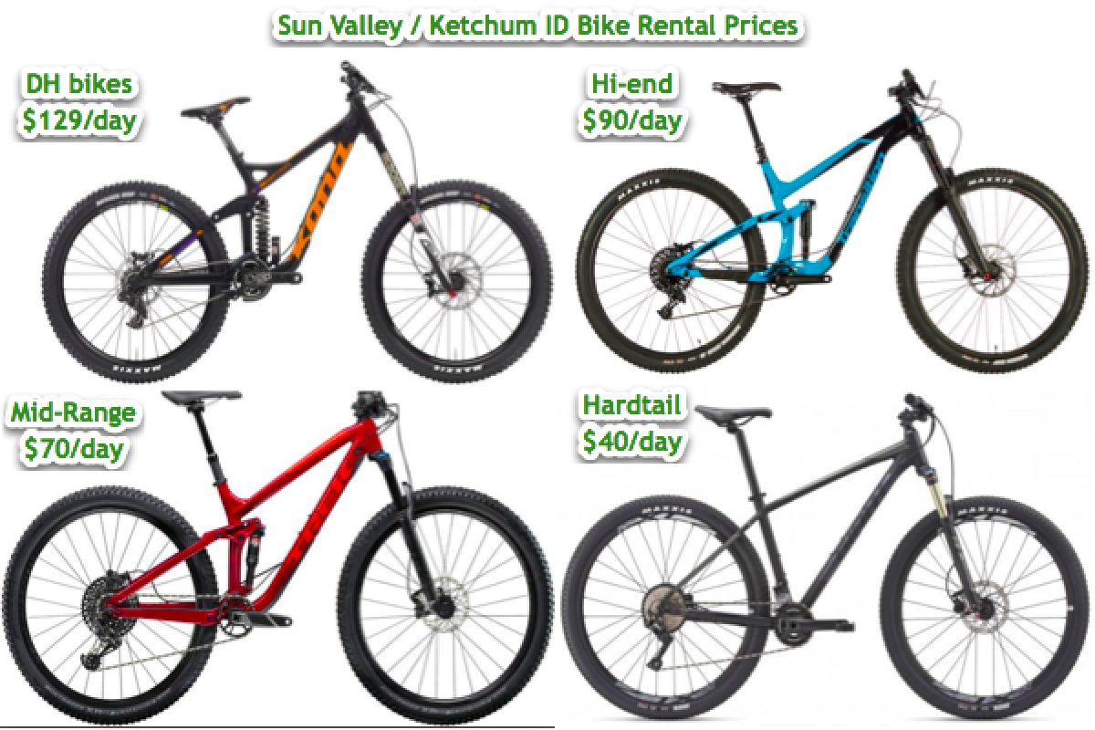24/" SINGLE-SPEED CHARTER RENTAL BIKE HYBRID CRUISER BICYCLE RENTAL BIKE