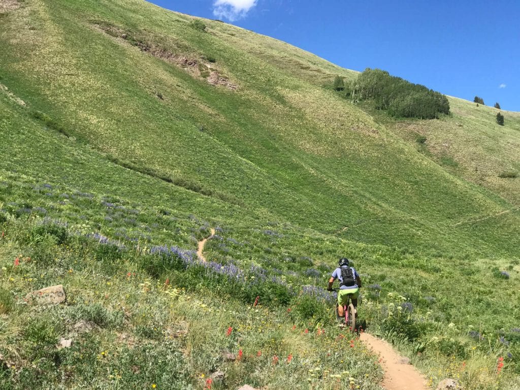 Teocalli ridge trail crested butte