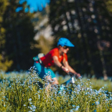 Breckenridge bike rental - SKI & SPORT breckenridge bike rental